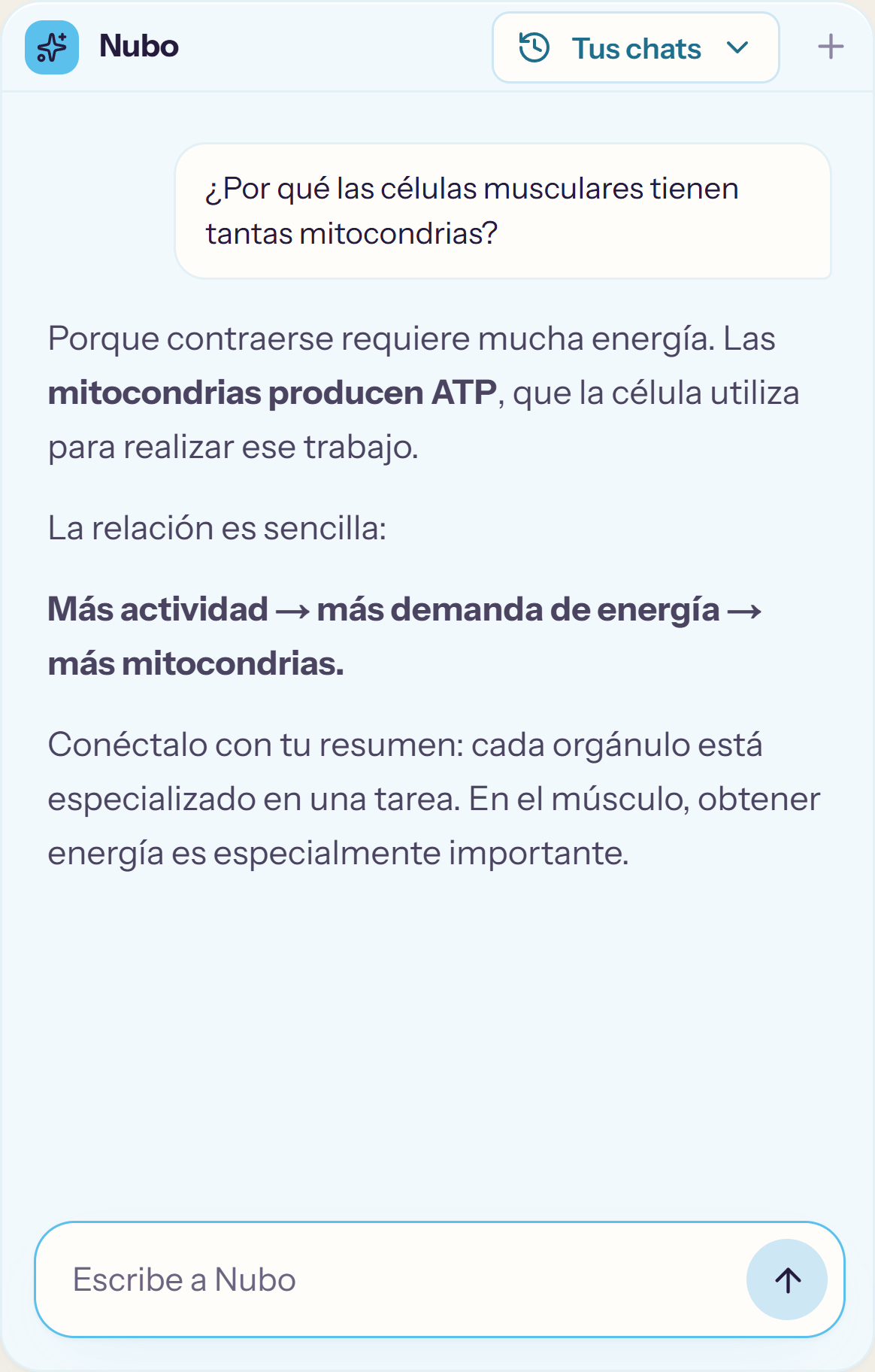 Una conversación con Nubo junto al material del espacio de estudio.